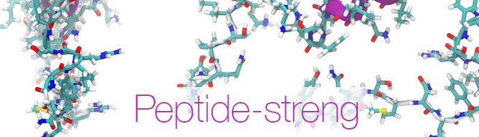 Peptide in schoonheidsproducten