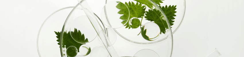 probiotica in huidverzorging en cosmetica